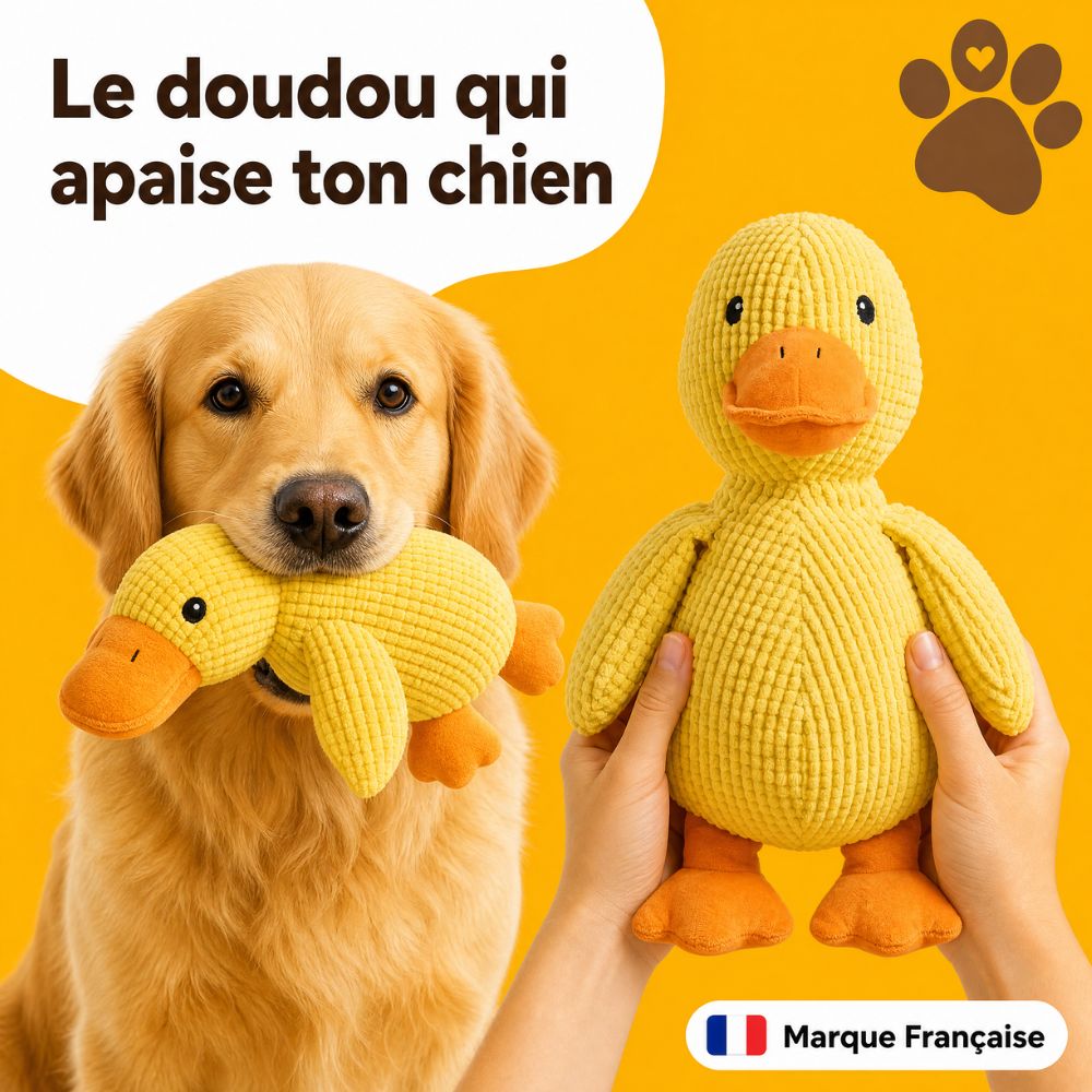 Canard anti-stress