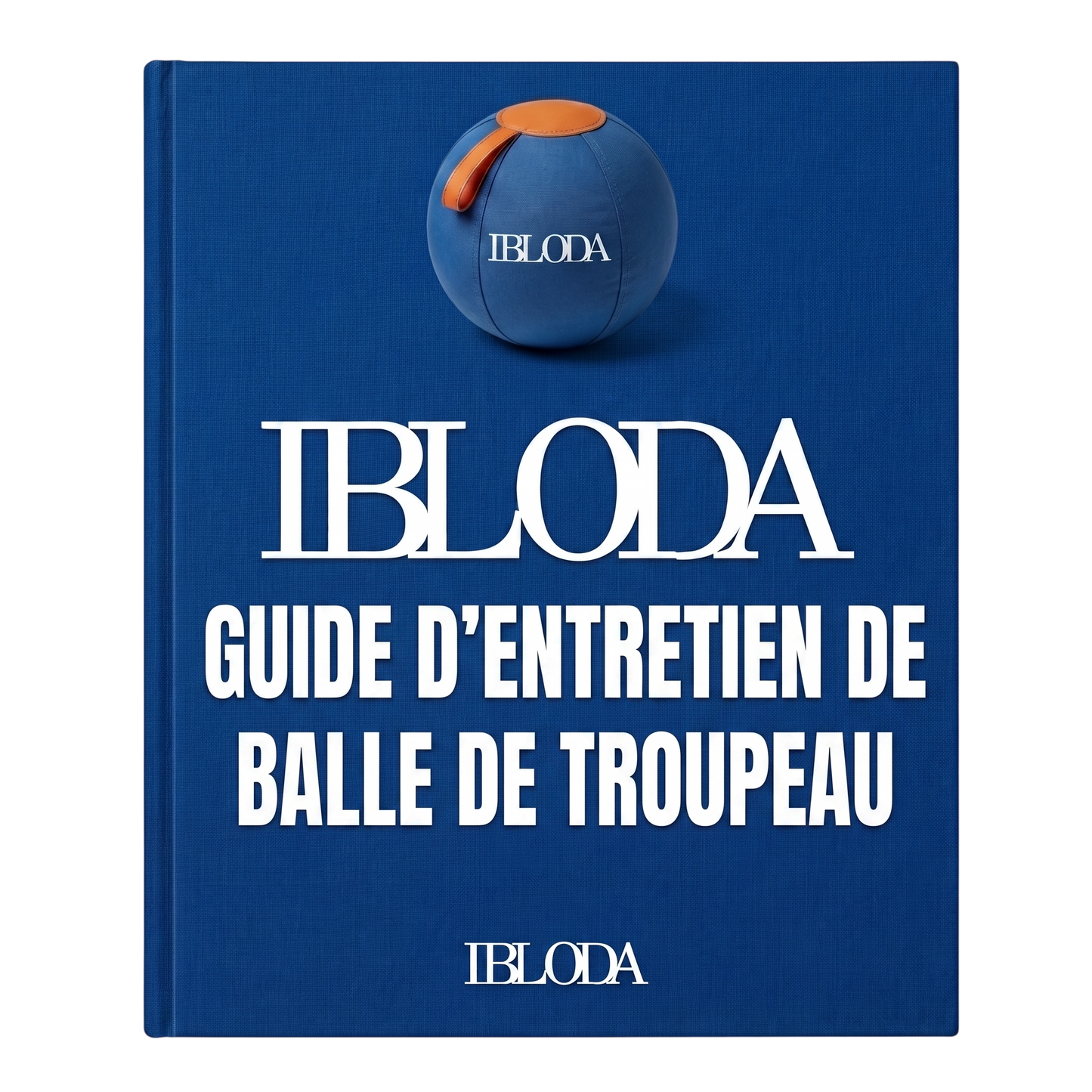 Guide d'entretien
