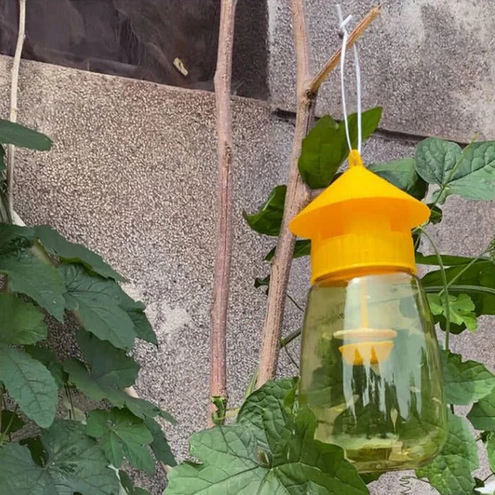 Hanging Fruit Fly Trap
