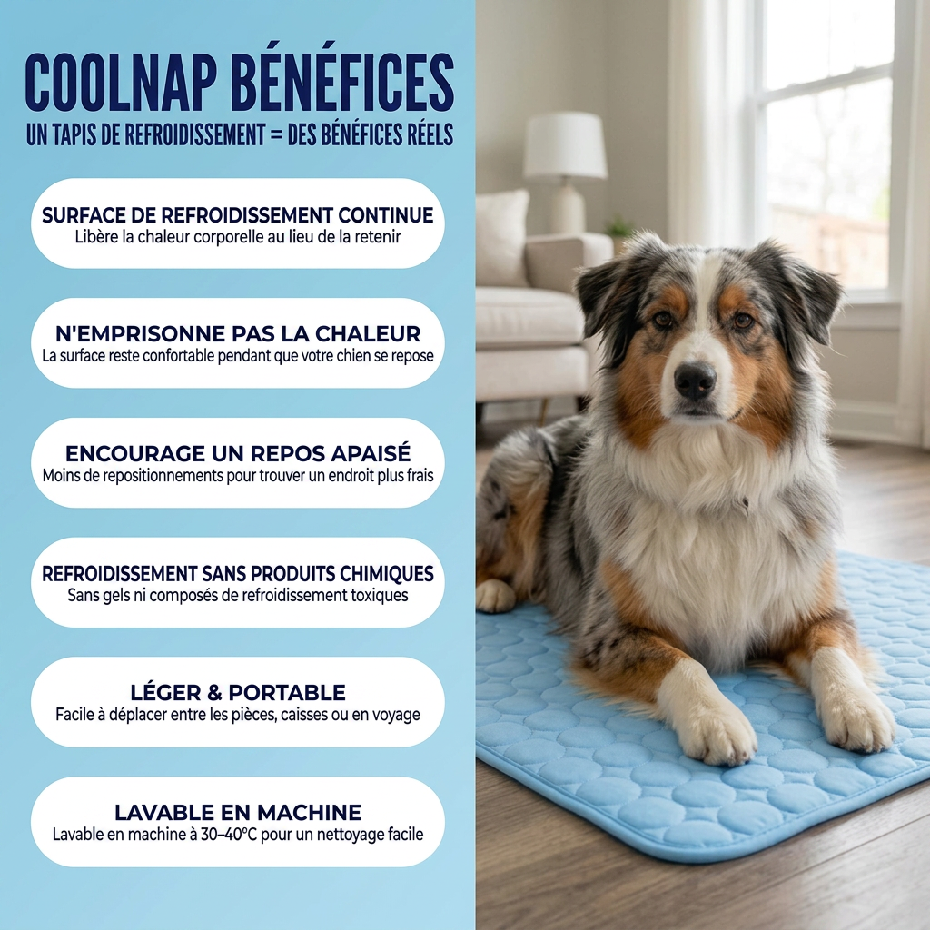 Le tapis qui reste frais - même après des heures sous votre chien.