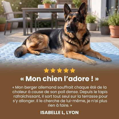 Le tapis qui garde votre chien au frais toute la journée