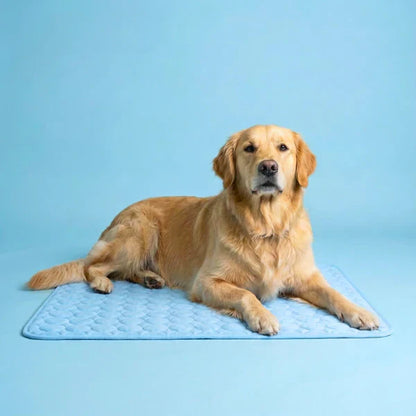 Le tapis qui reste frais - même après des heures sous votre chien.