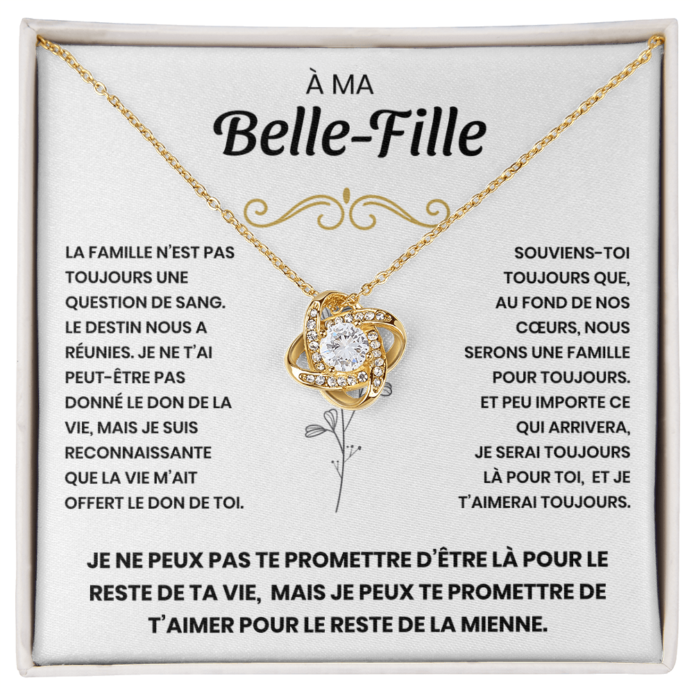 À ma Belle-Fille - Nous sommes une famille