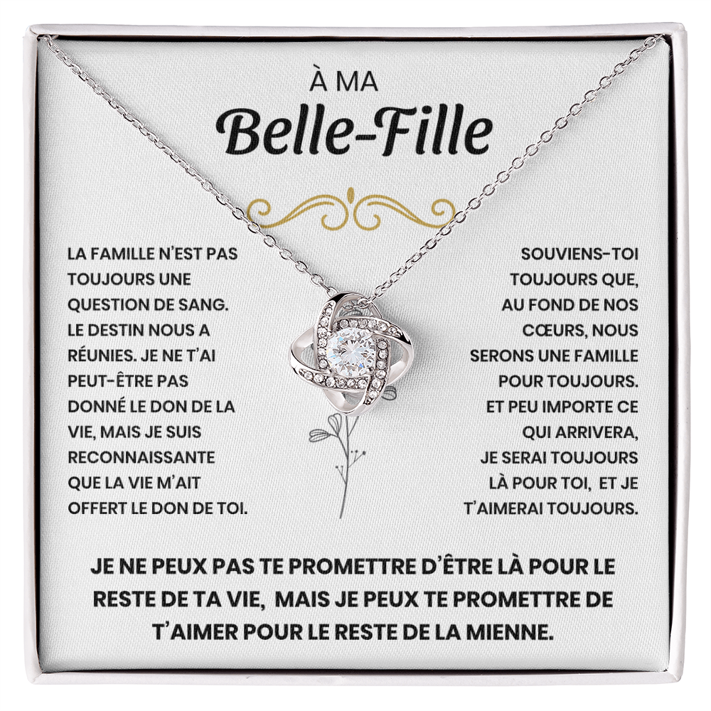 À ma Belle-Fille - Nous sommes une famille