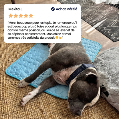 Le tapis qui reste frais - même après des heures sous votre chien.