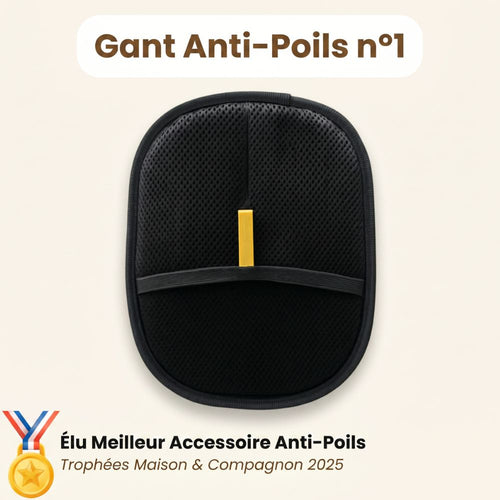 Gant Anti-poils