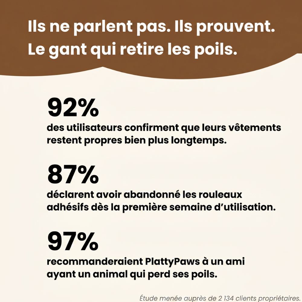 Gant Anti-poils