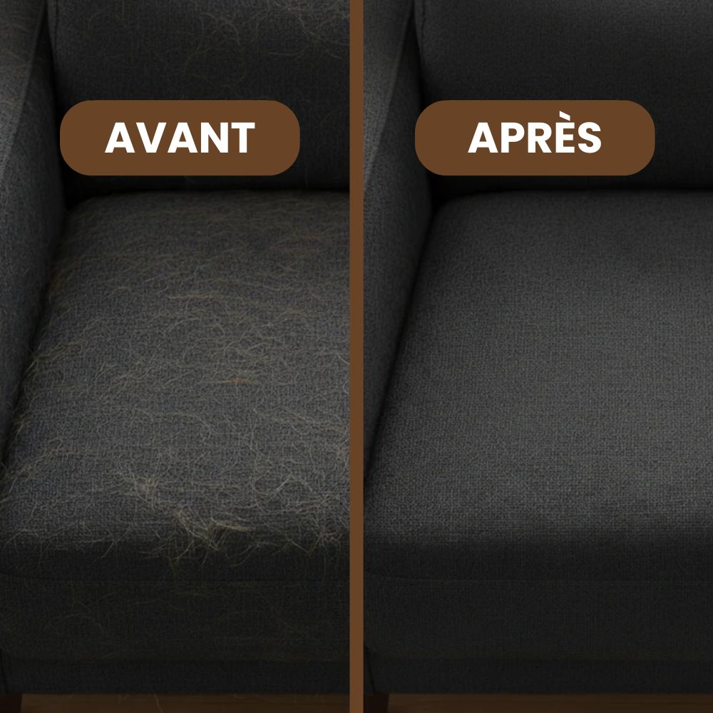 Gant Anti-poils