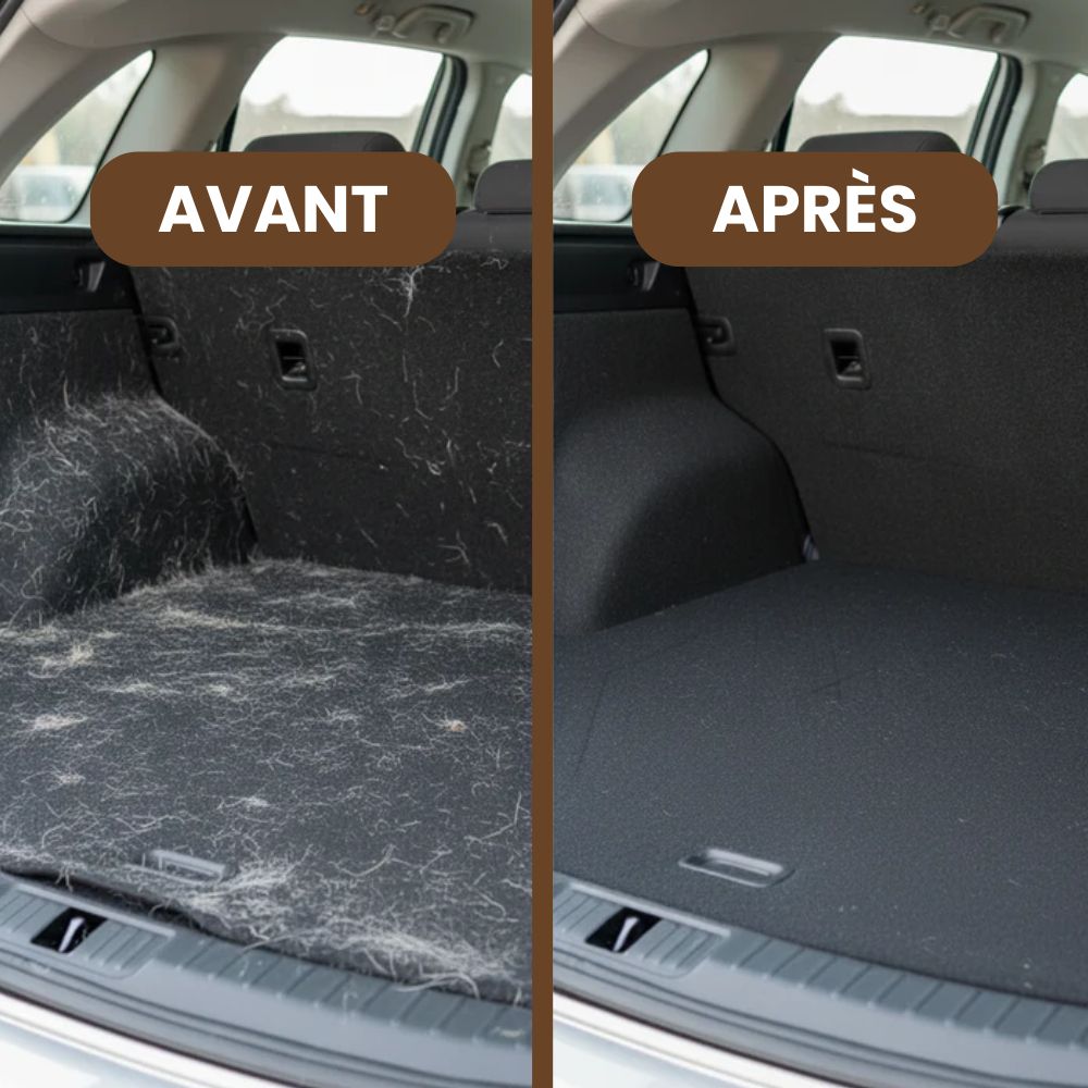 Gant Anti-poils