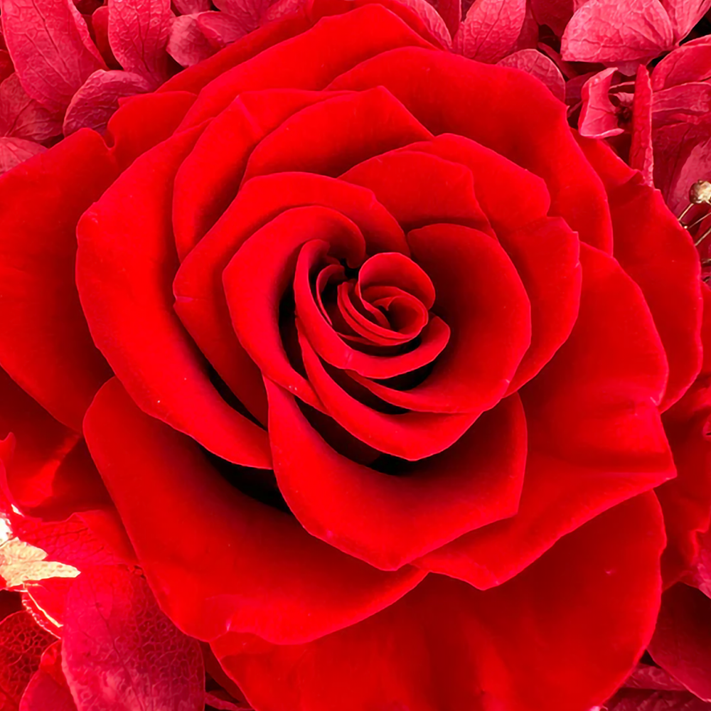 Ensemble d'amour étincelant - Collier, Bracelet et Boucles d'oreilles