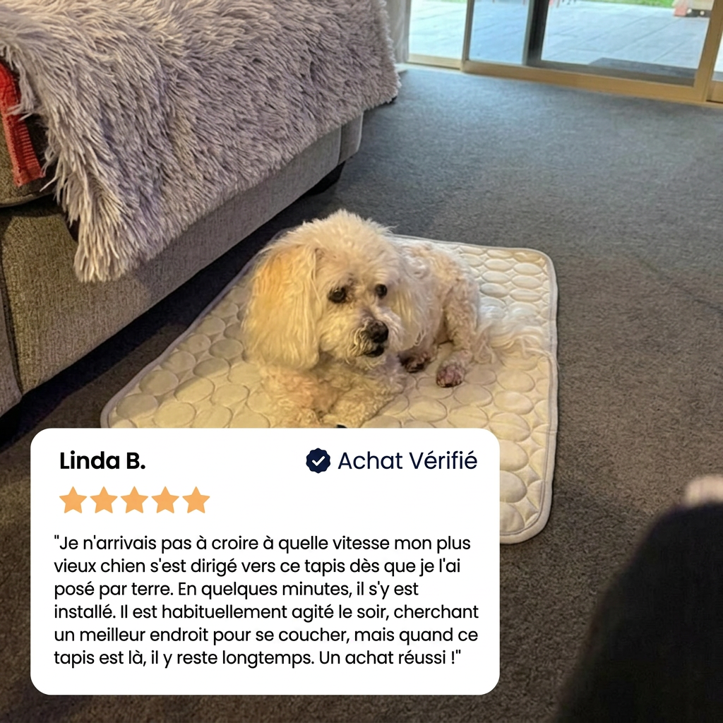 Le tapis qui reste frais - même après des heures sous votre chien.