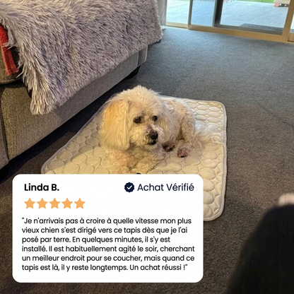 Le tapis qui reste frais - même après des heures sous votre chien.