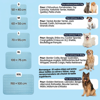 Le tapis qui reste frais - même après des heures sous votre chien.