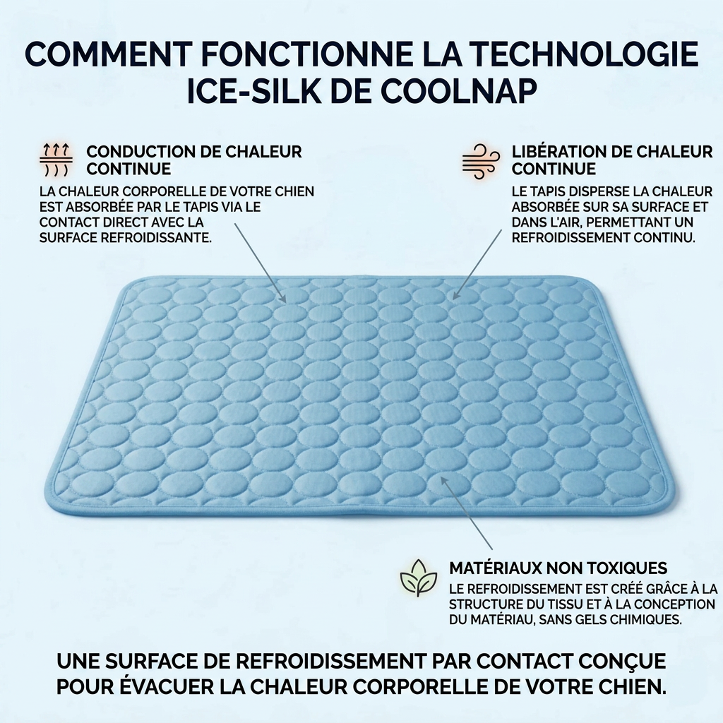 Le tapis qui reste frais - même après des heures sous votre chien.