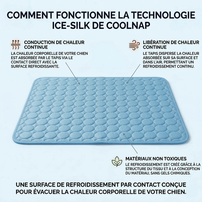 Le tapis qui reste frais - même après des heures sous votre chien.