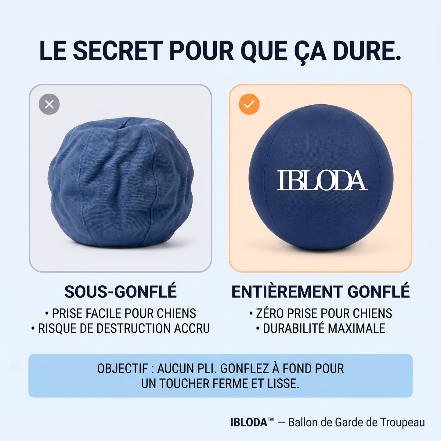 Enfin Un Chien Apaisé - Ballon de Troupeau