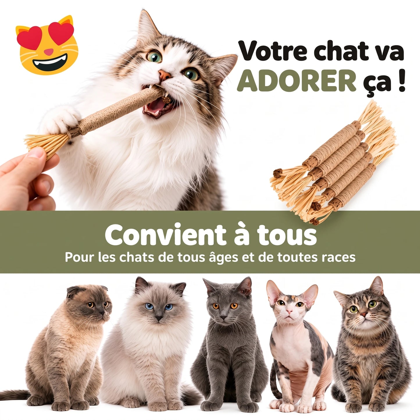 Bâtonnets dentaires au matatabi