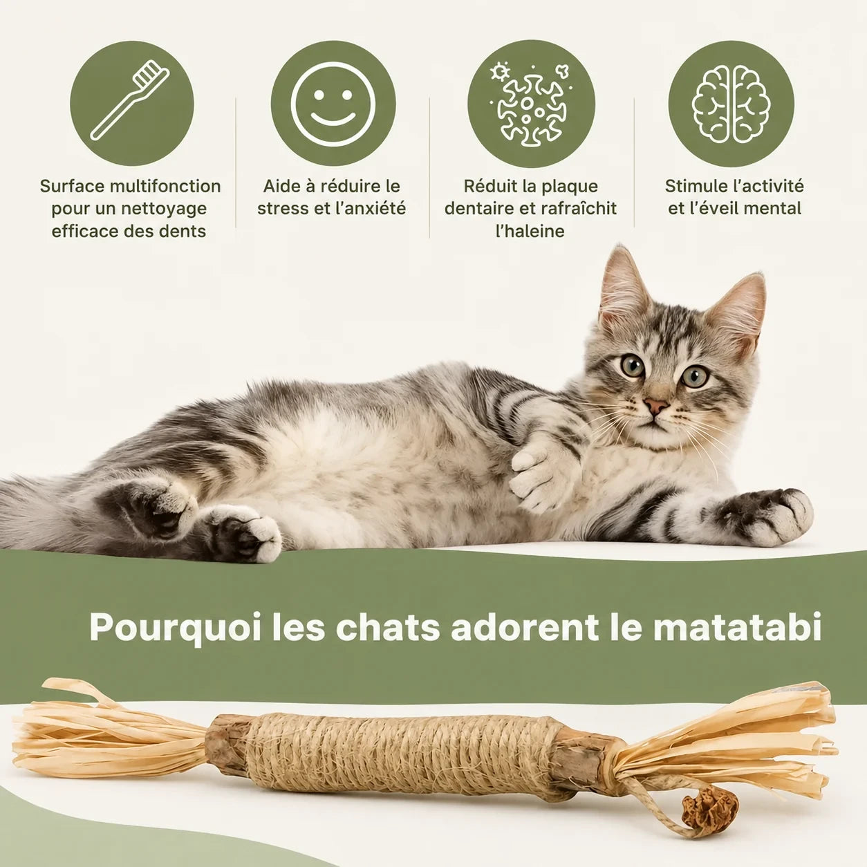 Bâtonnets dentaires au matatabi