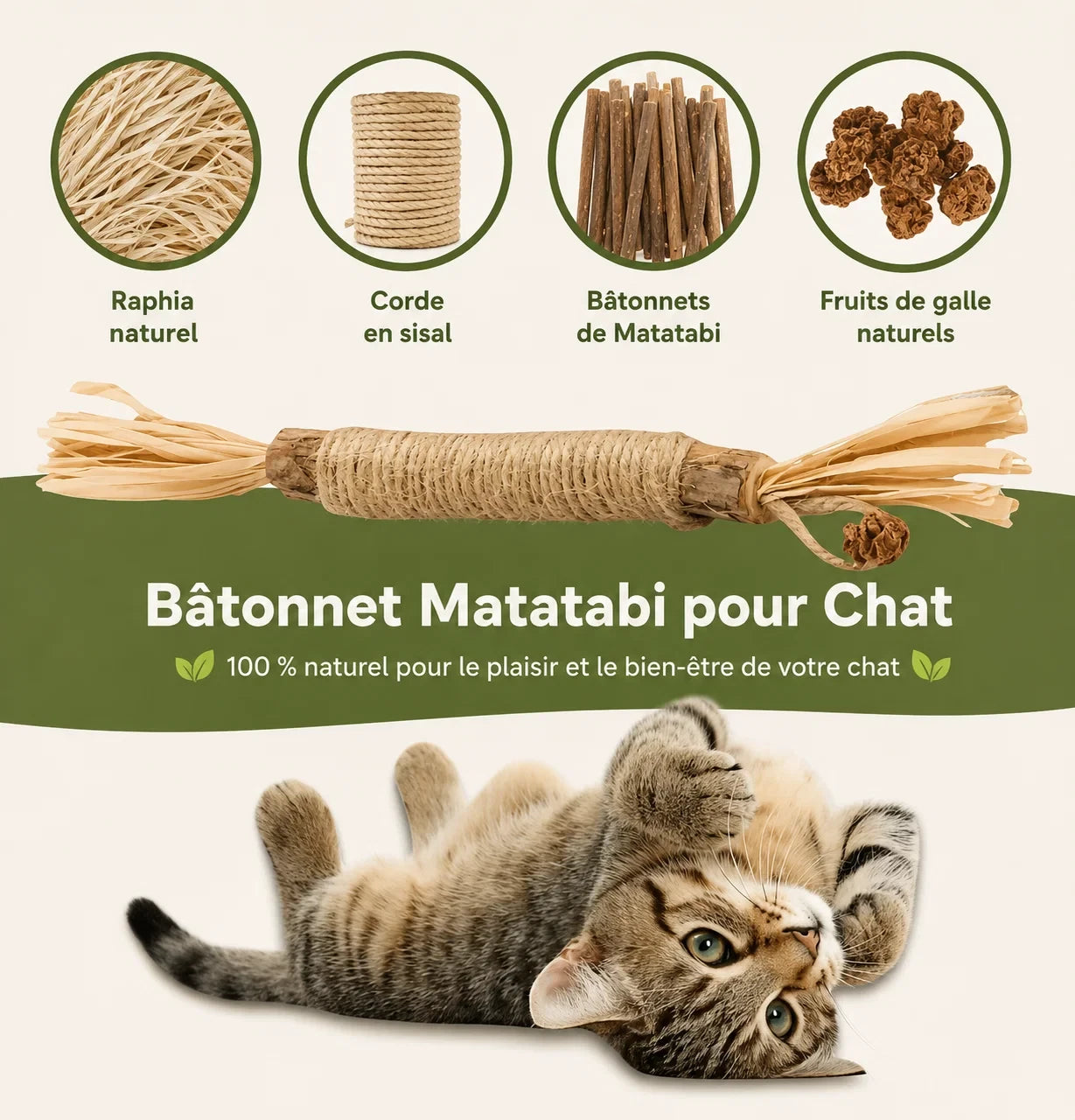 Bâtonnets dentaires au matatabi