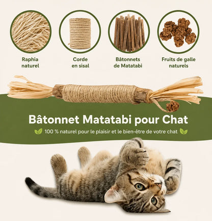 Bâtonnets dentaires au matatabi