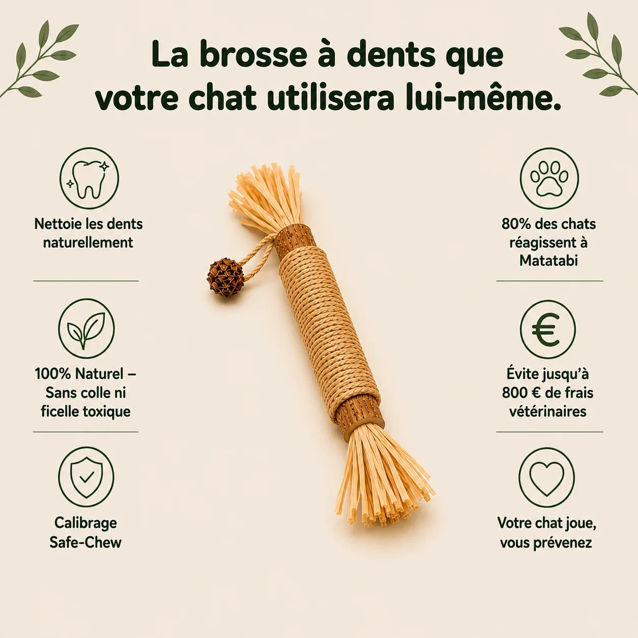 Bâtonnets dentaires au matatabi