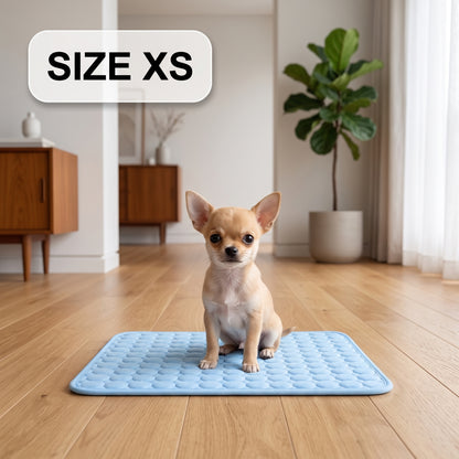 Le tapis qui garde votre chien au frais toute la journée