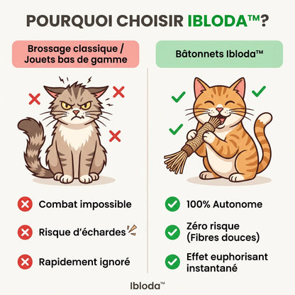 Bâtonnets dentaires au matatabi