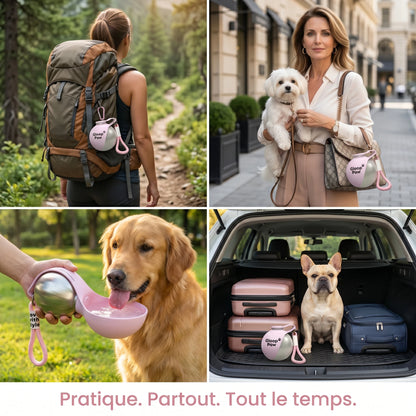 La gourde qui garde votre chien hydraté à chaque promenade