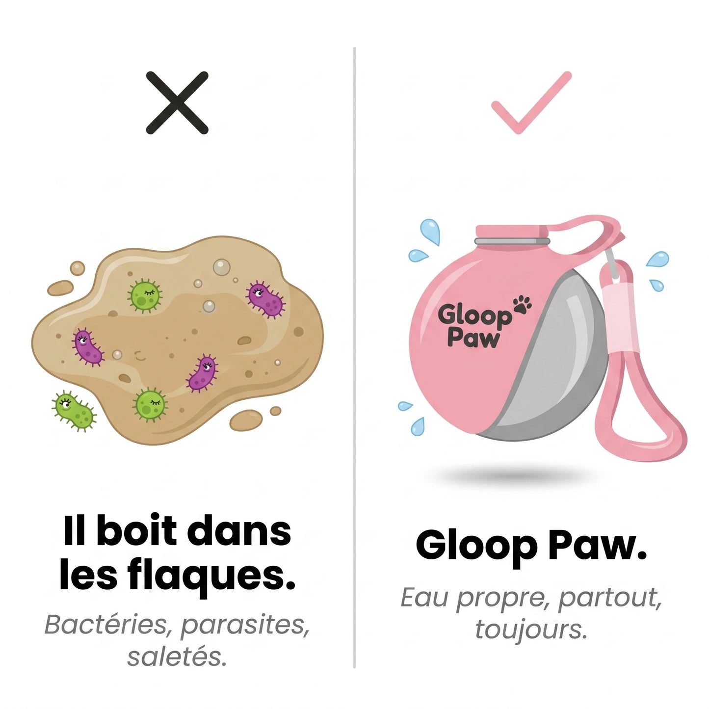 La gourde qui garde votre chien hydraté à chaque promenade