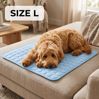 Le tapis qui garde votre chien au frais toute la journée