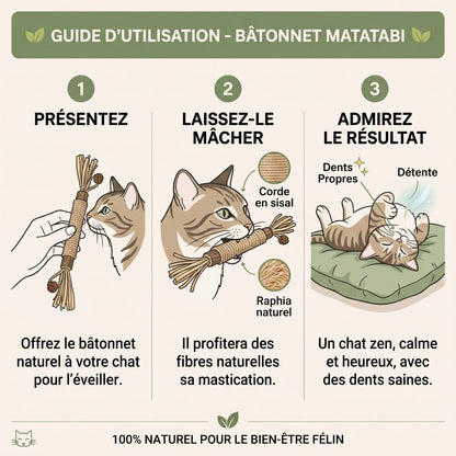Bâtonnets dentaires au matatabi