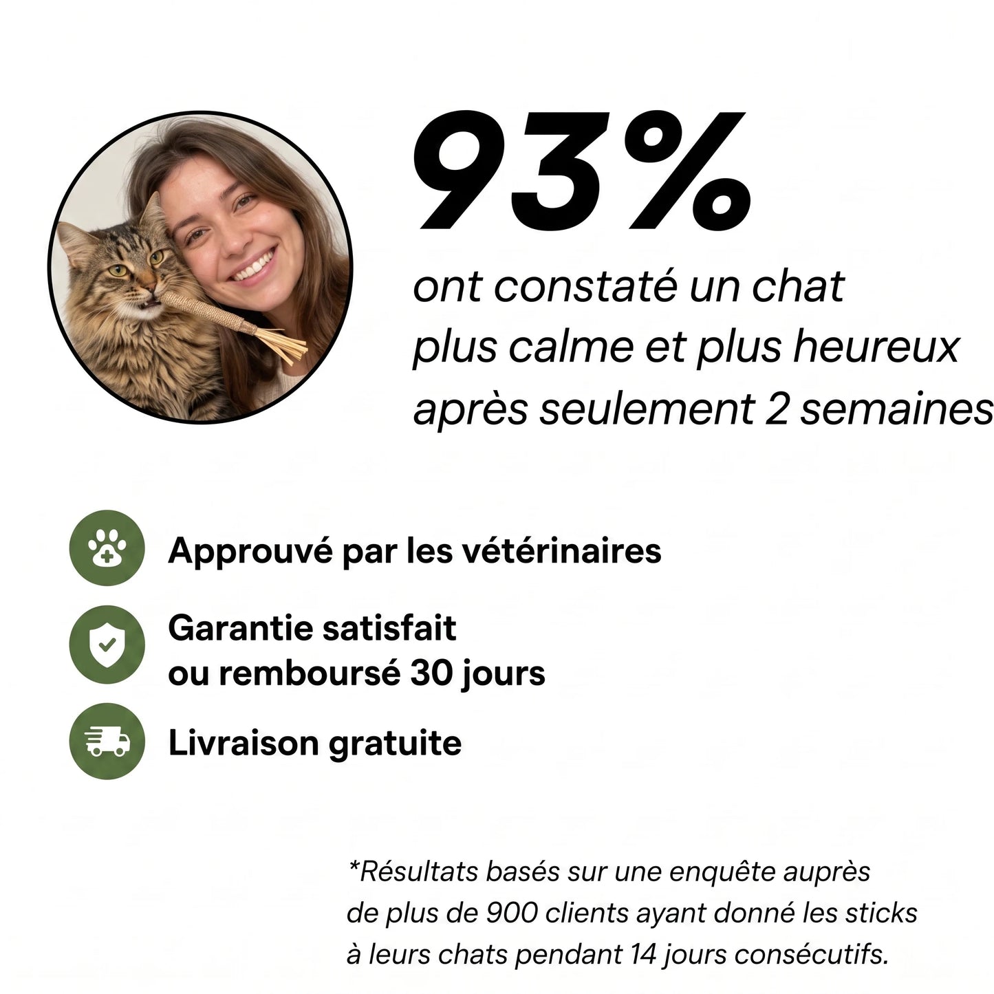 Bâtonnets dentaires au matatabi