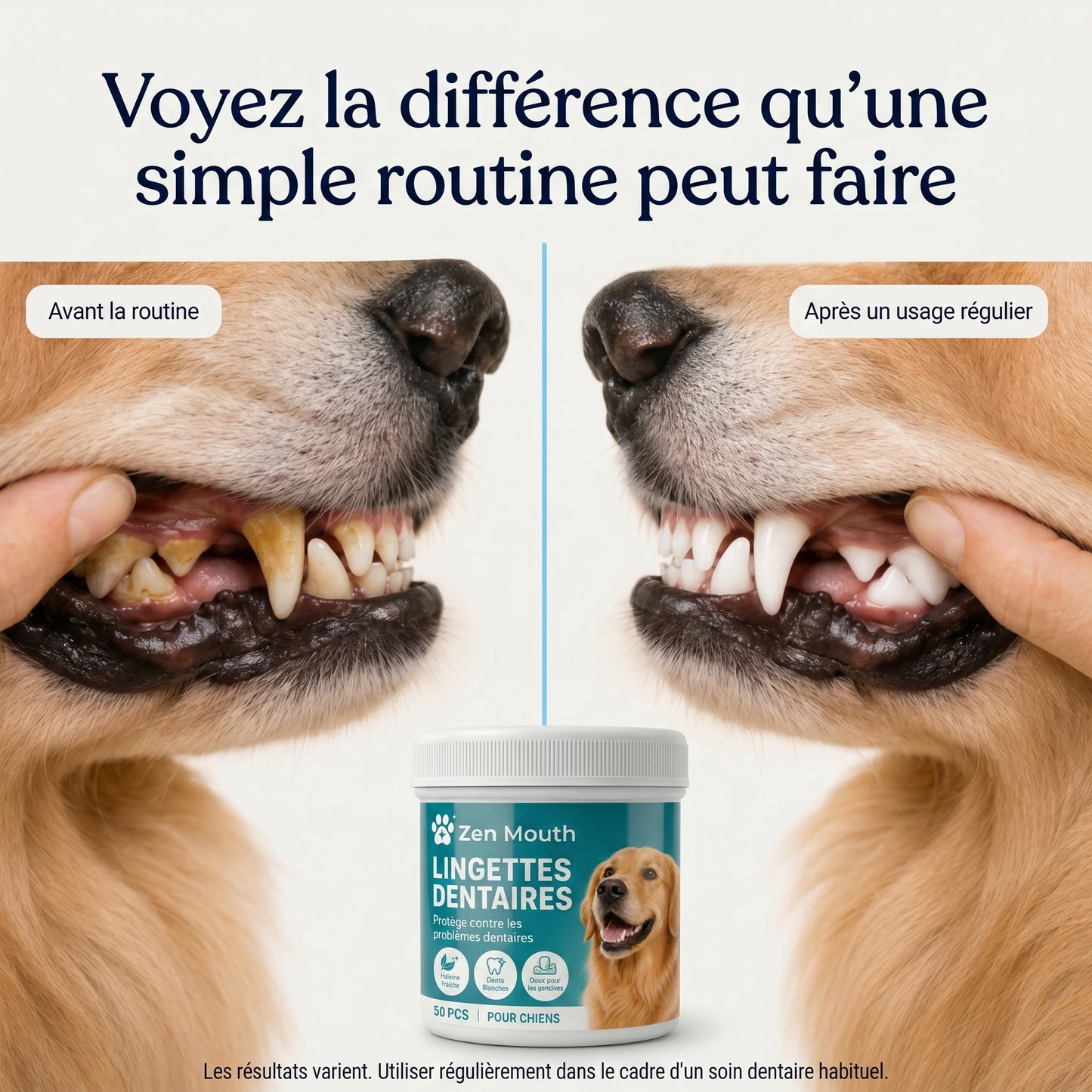 Retrouvez une haleine plus fraîche sans brosse ni stress