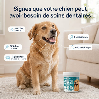 Retrouvez une haleine plus fraîche sans brosse ni stress