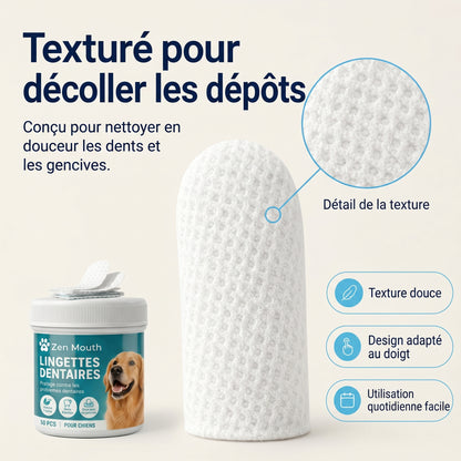 Retrouvez une haleine plus fraîche sans brosse ni stress