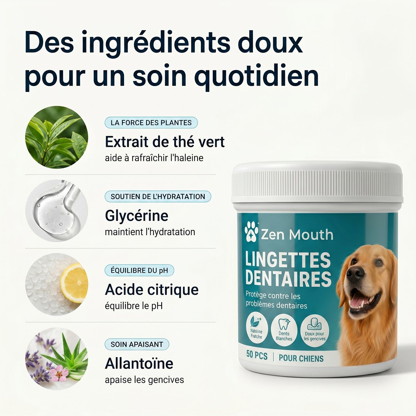Retrouvez une haleine plus fraîche sans brosse ni stress