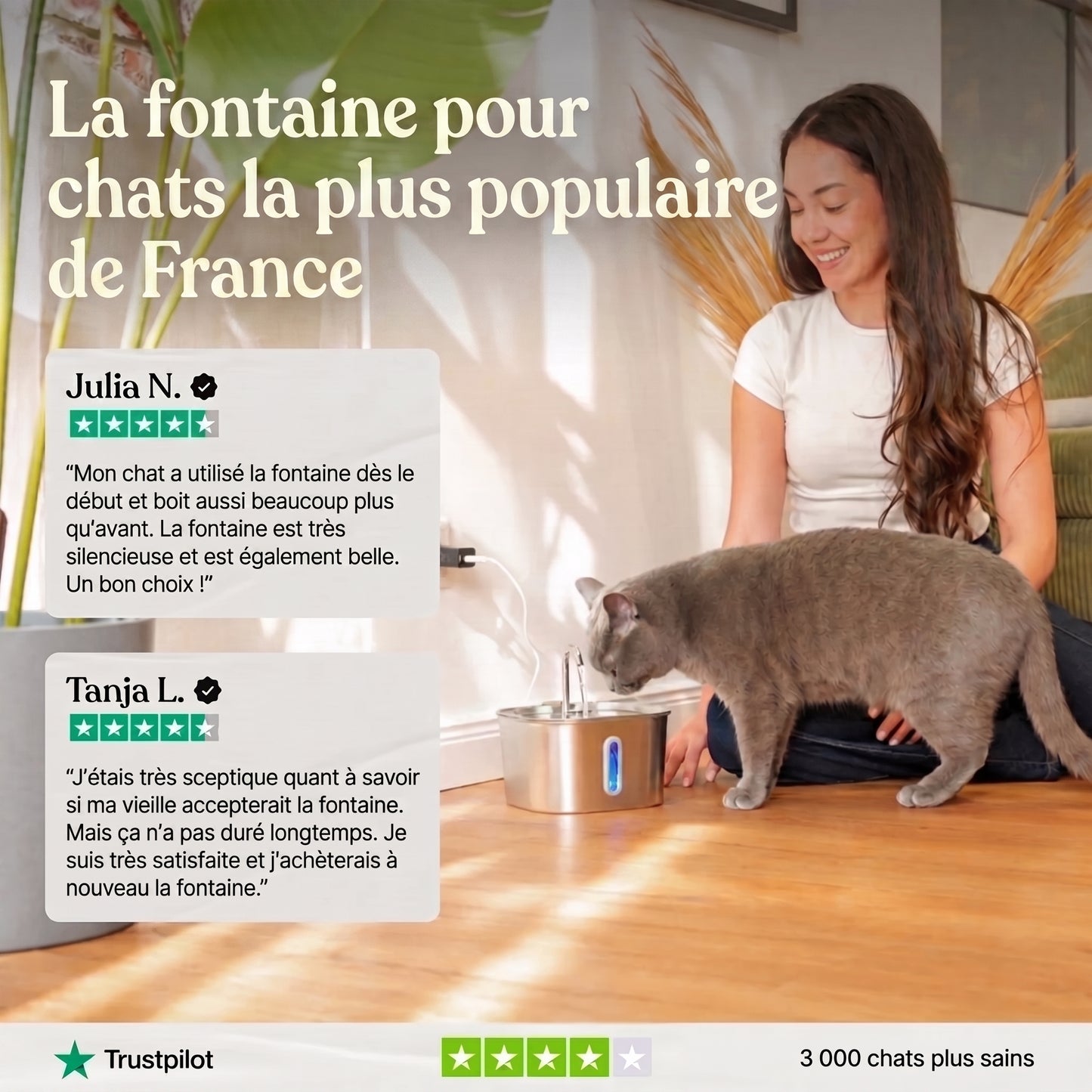 Fontaine à eau pour chat - Kit complet