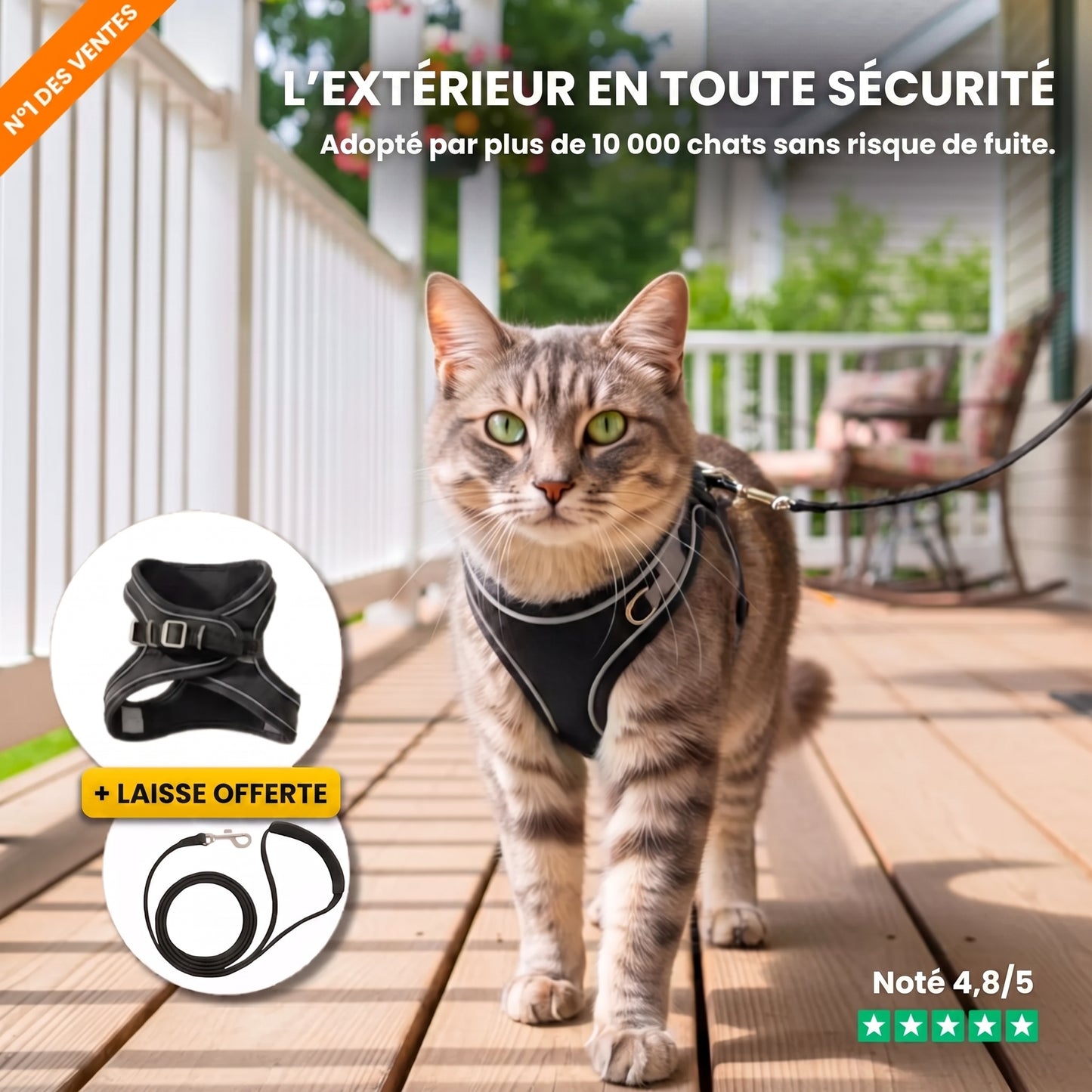 Harnais pour Chat 100% Anti-Fuite (+ Laisse Offerte)