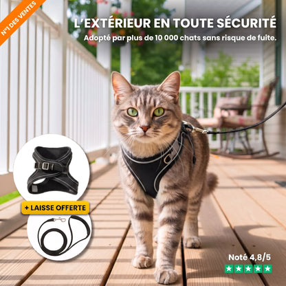 Harnais pour Chat 100% Anti-Fuite (+ Laisse Offerte)