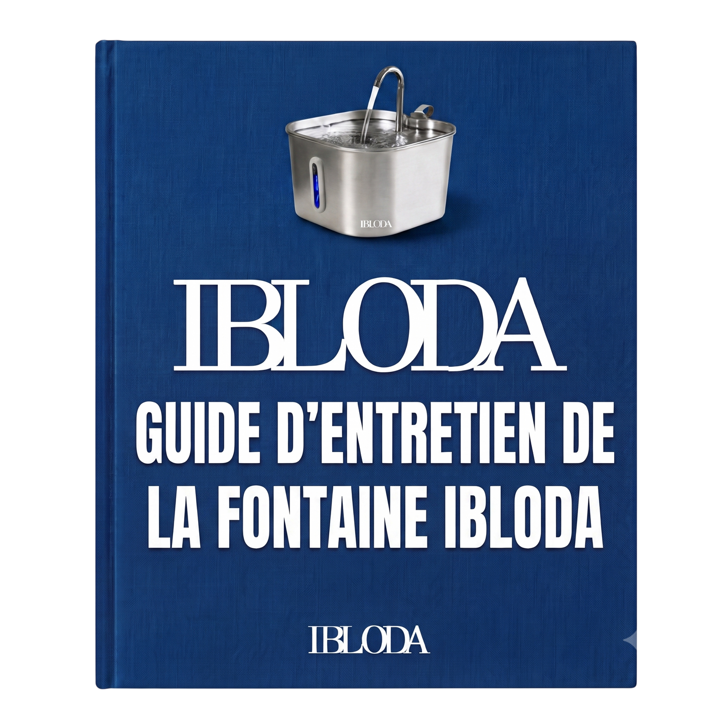 Guide d'entretien