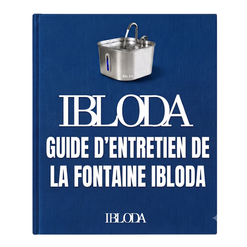 Guide d'entretien