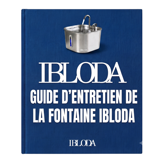 Guide d'entretien