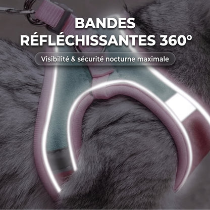 Harnais pour Chat 100% Anti-Fuite (+ Laisse Offerte)