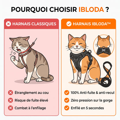 Harnais pour Chat 100% Anti-Fuite (+ Laisse Offerte)