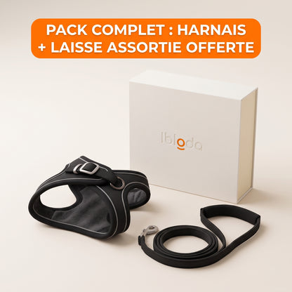 Harnais pour Chat 100% Anti-Fuite (+ Laisse Offerte)