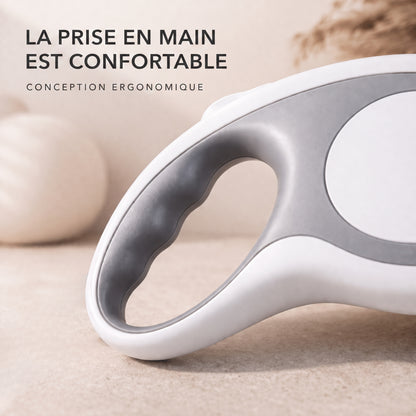 Laisse rétractable pour chat – 3M
