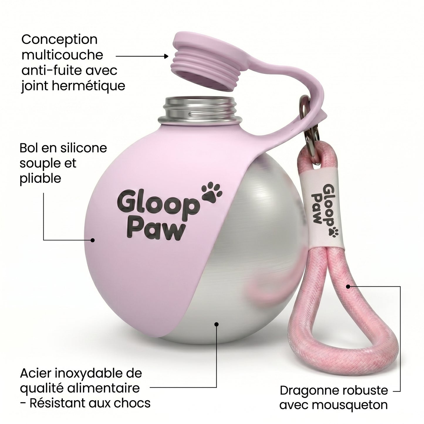La gourde qui garde votre chien hydraté à chaque promenade
