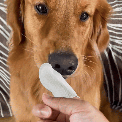 Retrouvez une haleine plus fraîche sans brosse ni stress