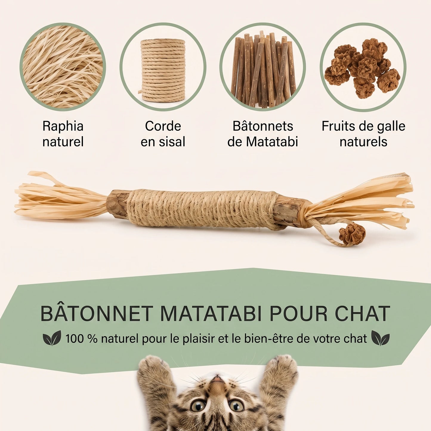 Bâtonnets dentaires au matatabi