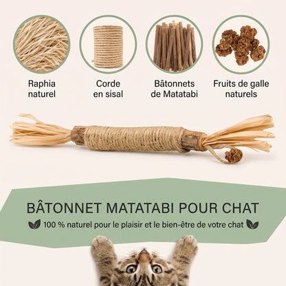 Bâtonnets dentaires au matatabi